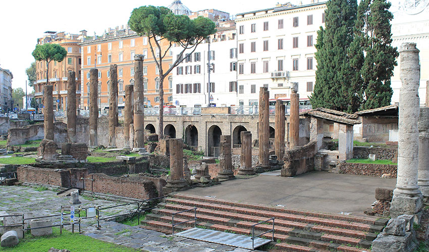 Largo di Torre Argentina Cat Sanctuary