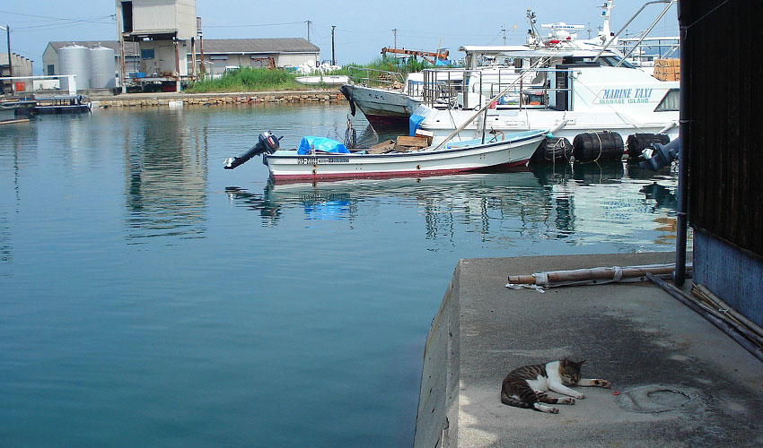 Manabeshima (Cat Island)