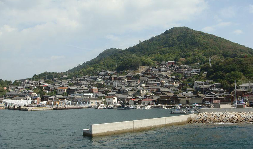 Ogijima Cats