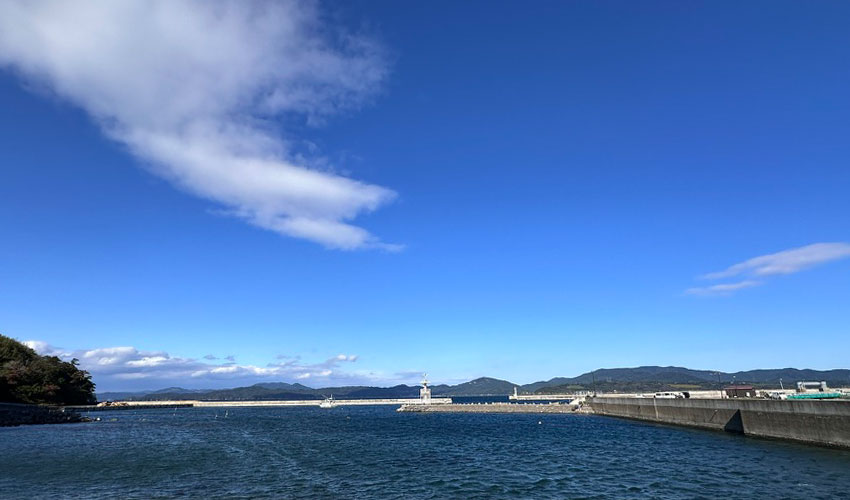 Tashirojima (Cat Island)