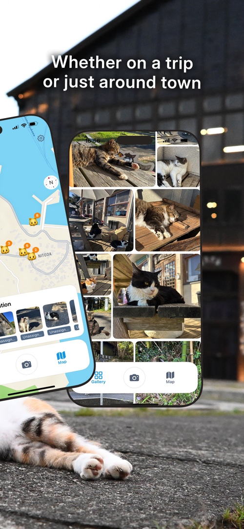 MeowSnap Screenshot 2