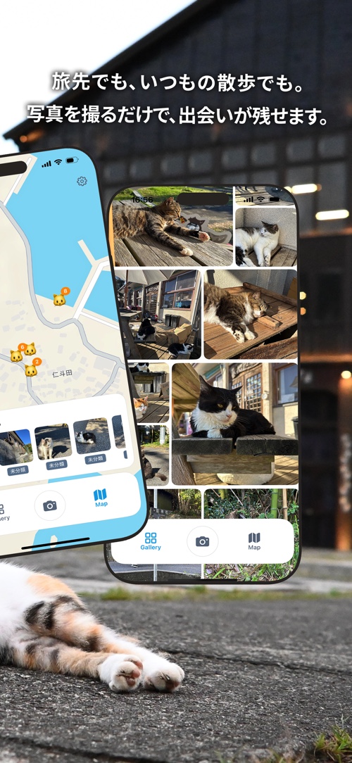 MeowSnap スクリーンショット 2