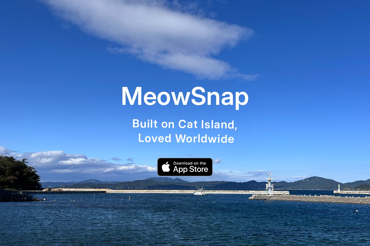 MeowSnap - Cat Discovery App