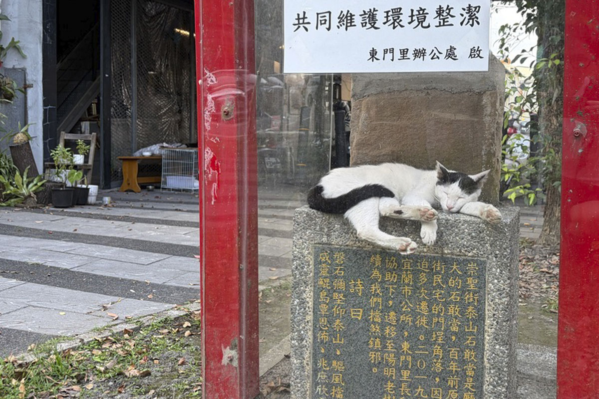 Yilan, Looking for Cats — A One-Day Workation