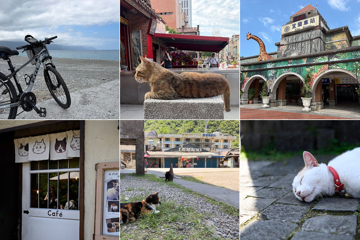 台湾でMeowSnapを使って過ごした5日間